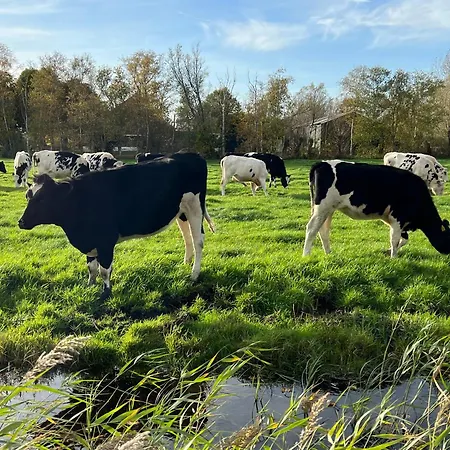 Дом отдыха Over