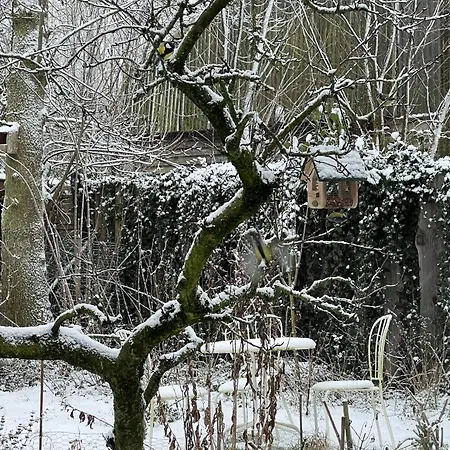 Vakantiehuis Over Monnickendam