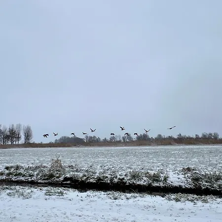 Over * Monnickendam