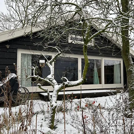 Over Tatil Evi
