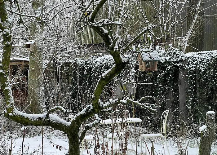 Tatil Evi Over Monnickendam