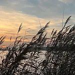 Over * モニキンダム